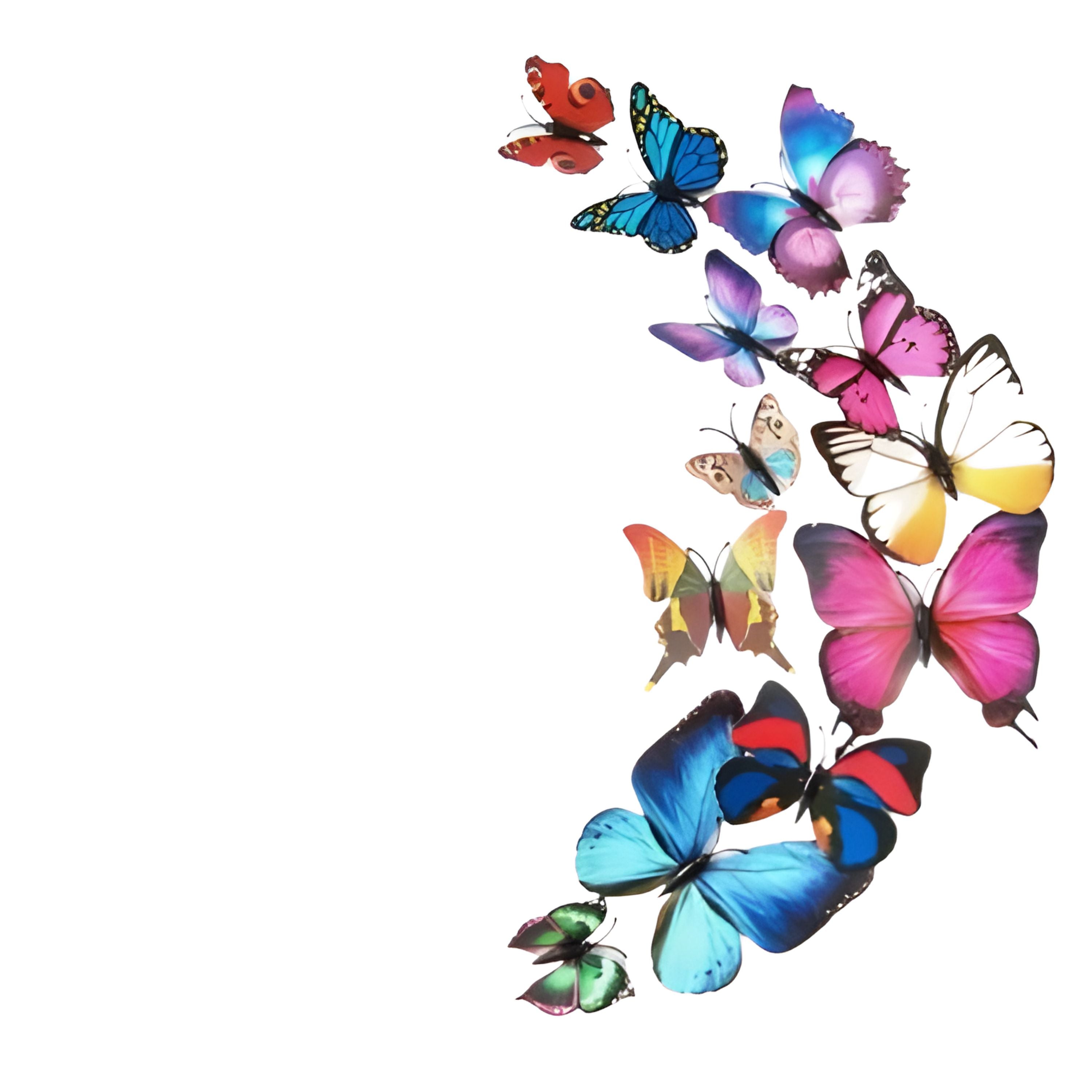 Kitcheniva 3D Butterfly Wall Stickers Art Decals