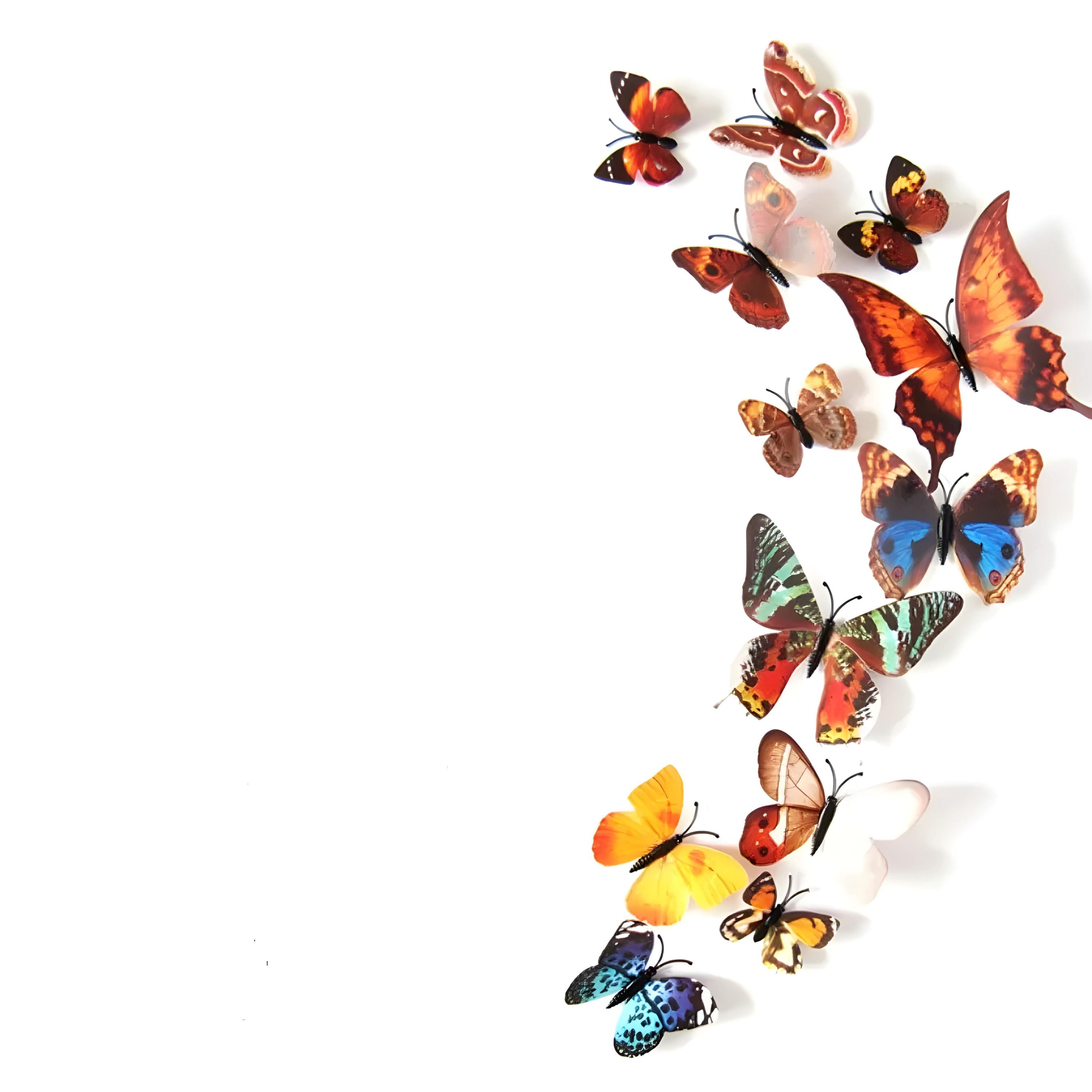 Kitcheniva 3D Butterfly Wall Stickers Art Decals