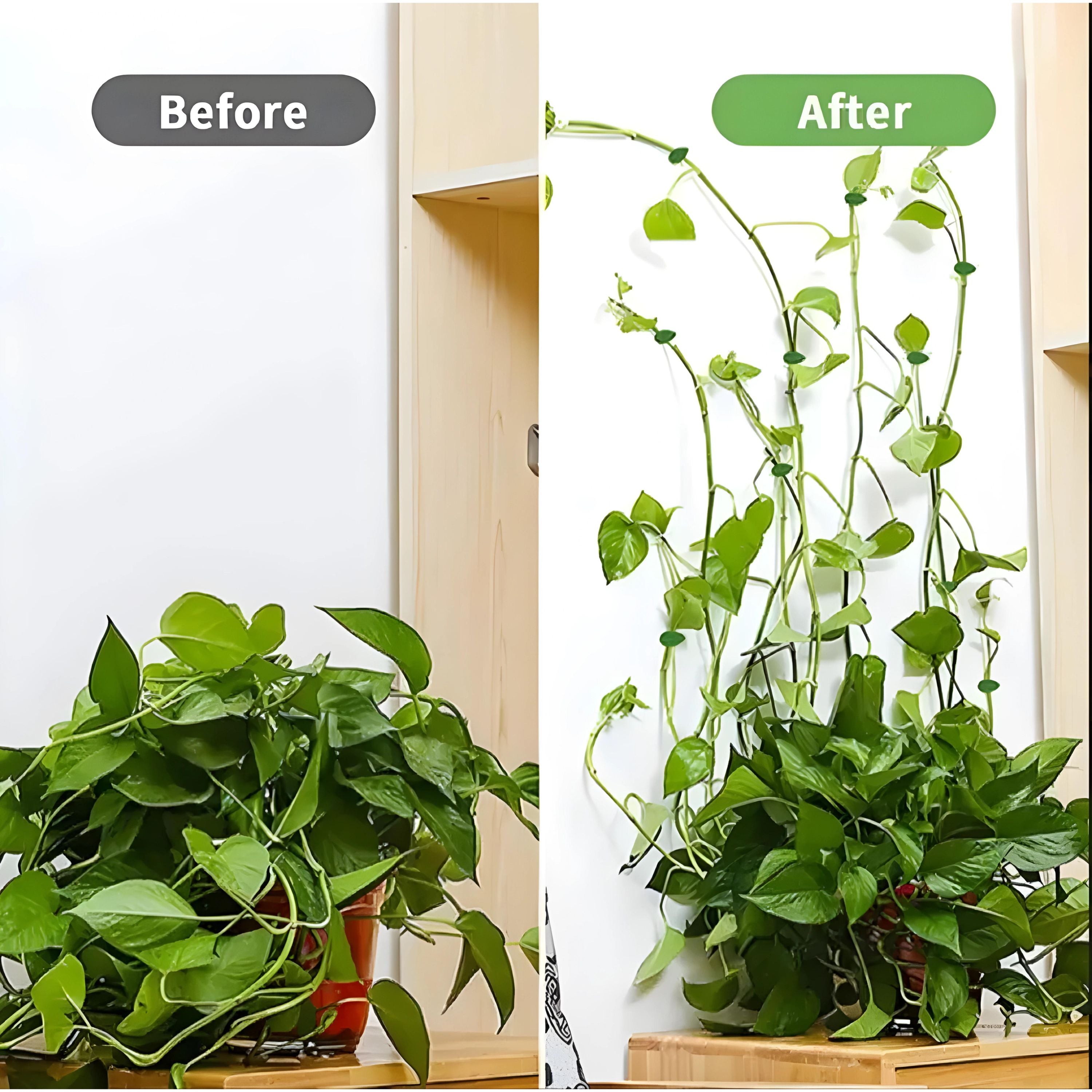 Kitcheniva Plant Clips With Self-Adhesive Hooks 30 Pcs
