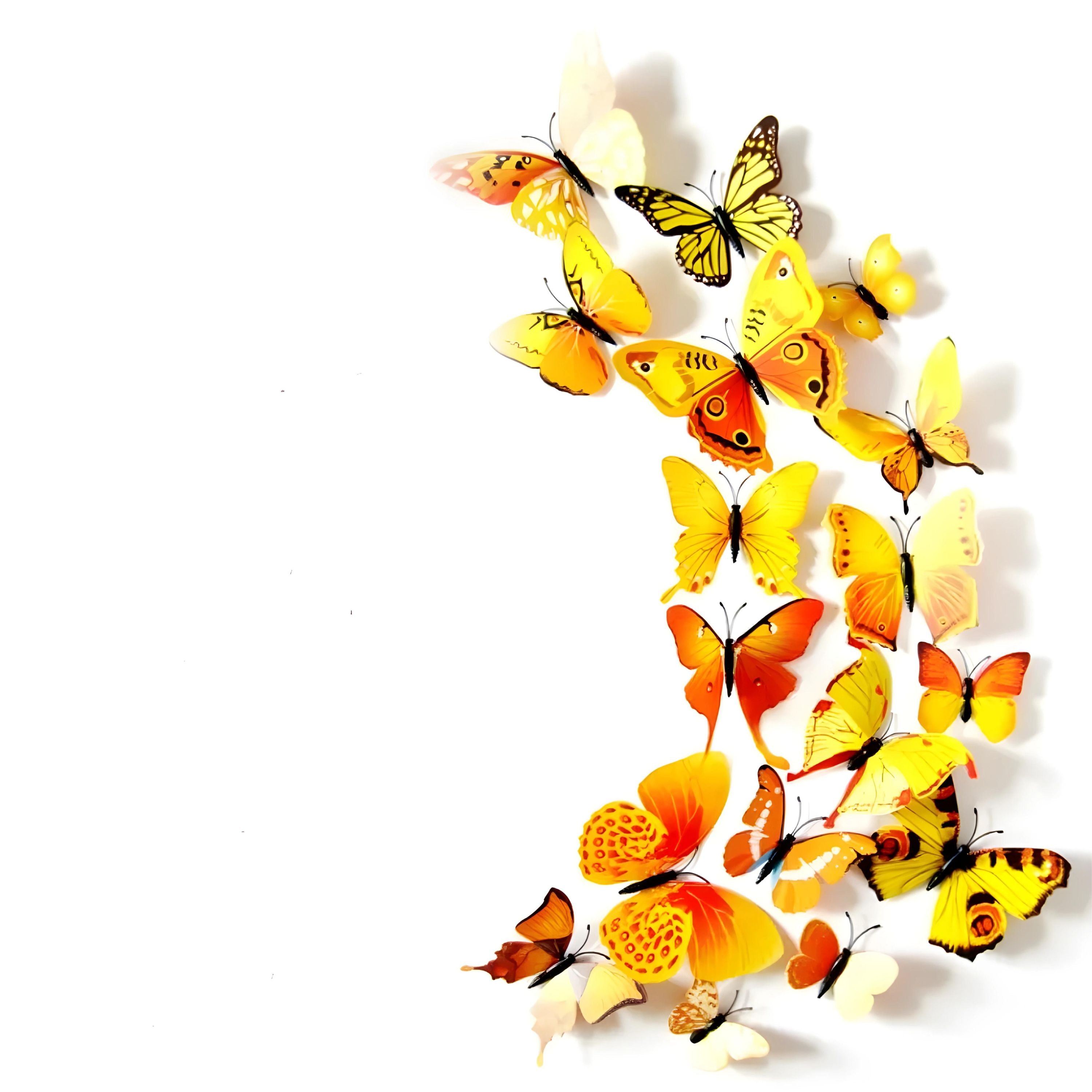 Kitcheniva 3D Butterfly Wall Stickers Art Decals
