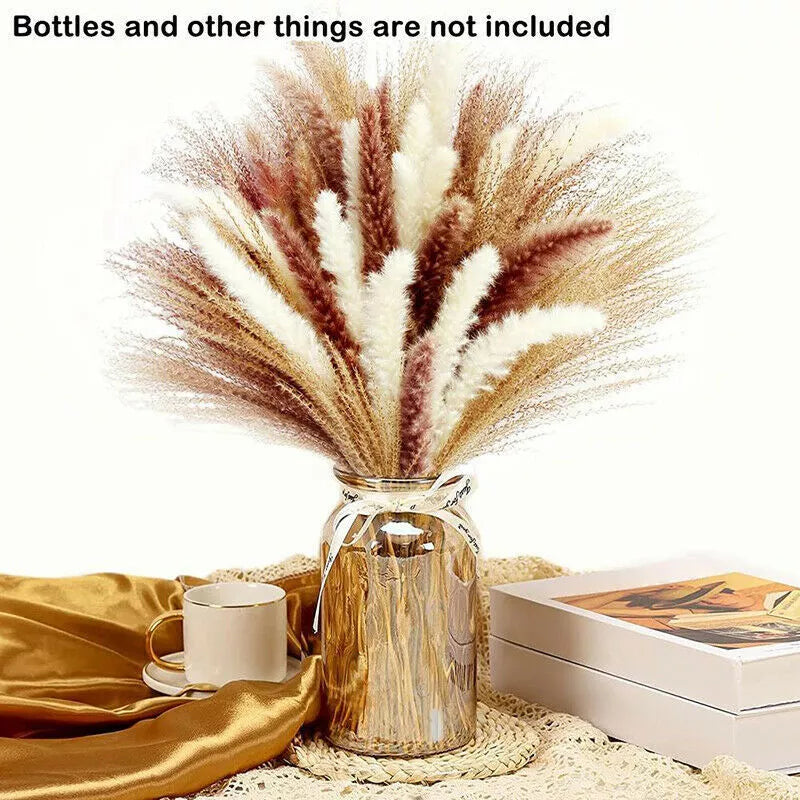 Kitcheniva Pampas Grass Natural Dried Reed Flower Bunch 60 Pcs