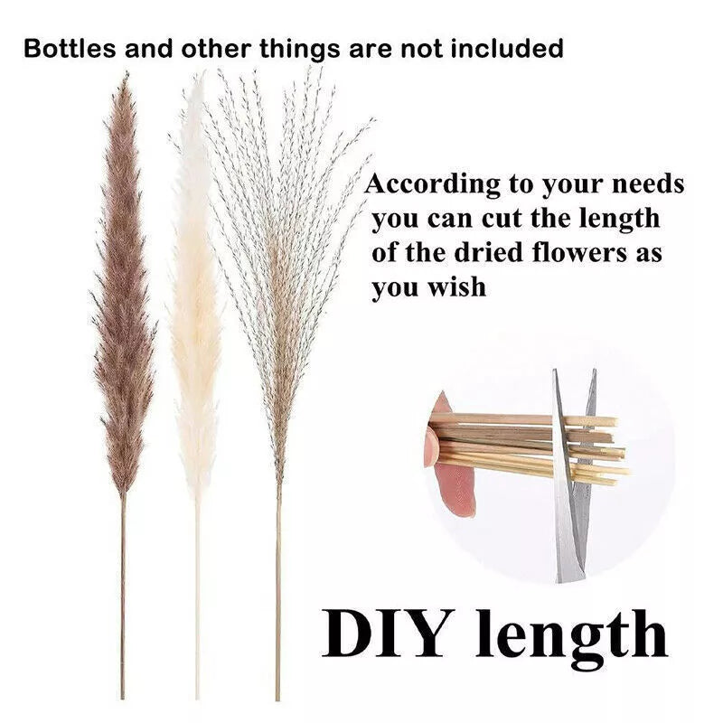 Kitcheniva Pampas Grass Natural Dried Reed Flower Bunch 60 Pcs