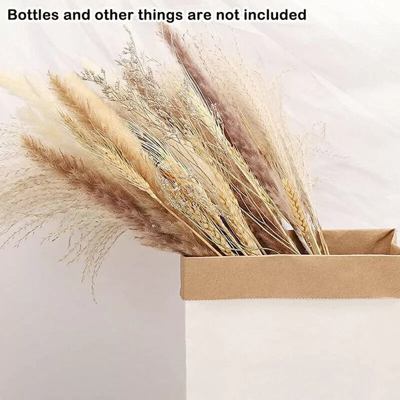 Kitcheniva Pampas Grass Natural Dried Reed Flower Bunch 60 Pcs