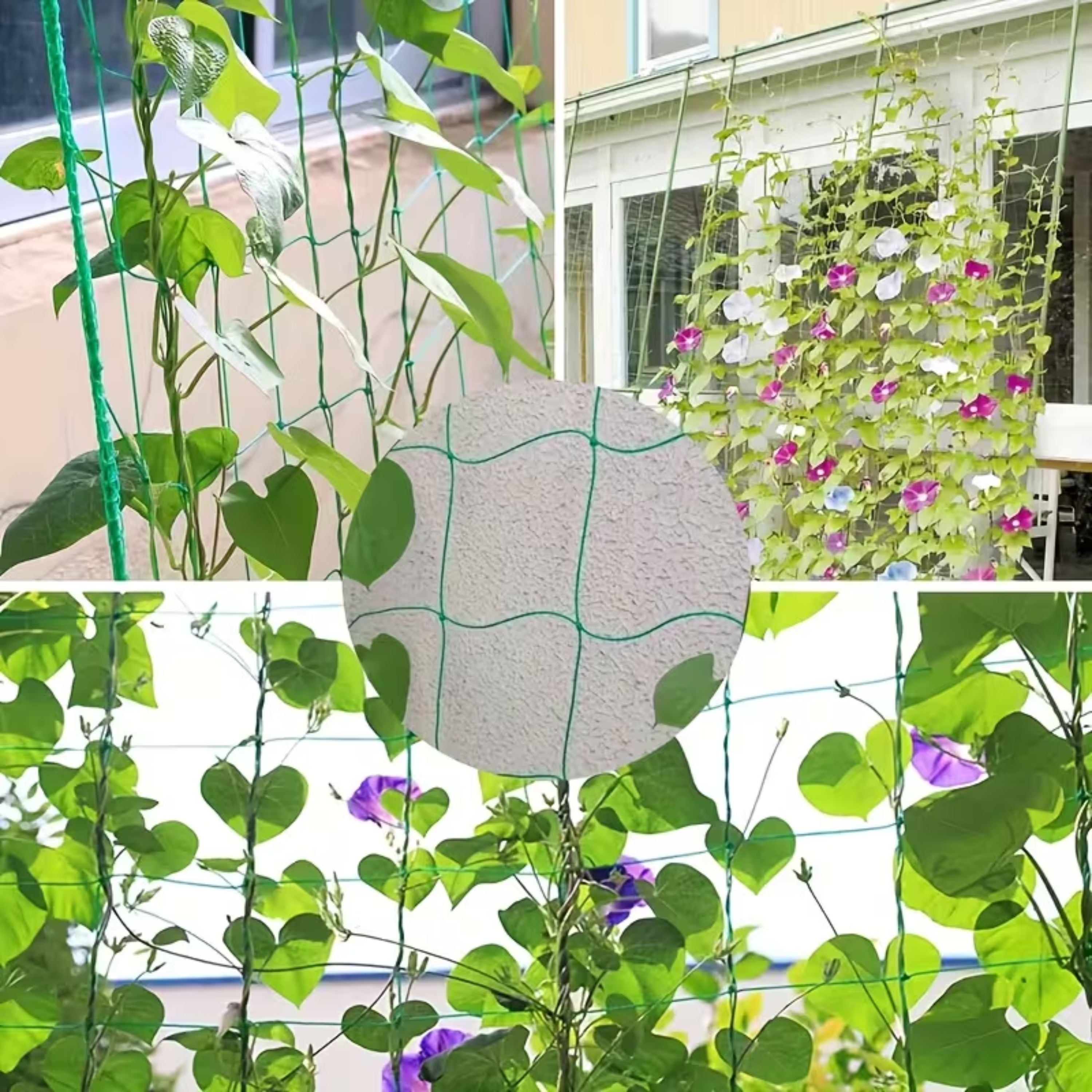 Kitcheniva Trellis Netting for Climbing Plants (6x12 Ft) - Perfect for Tomatoes, Peas, Cucumbers, Grapes