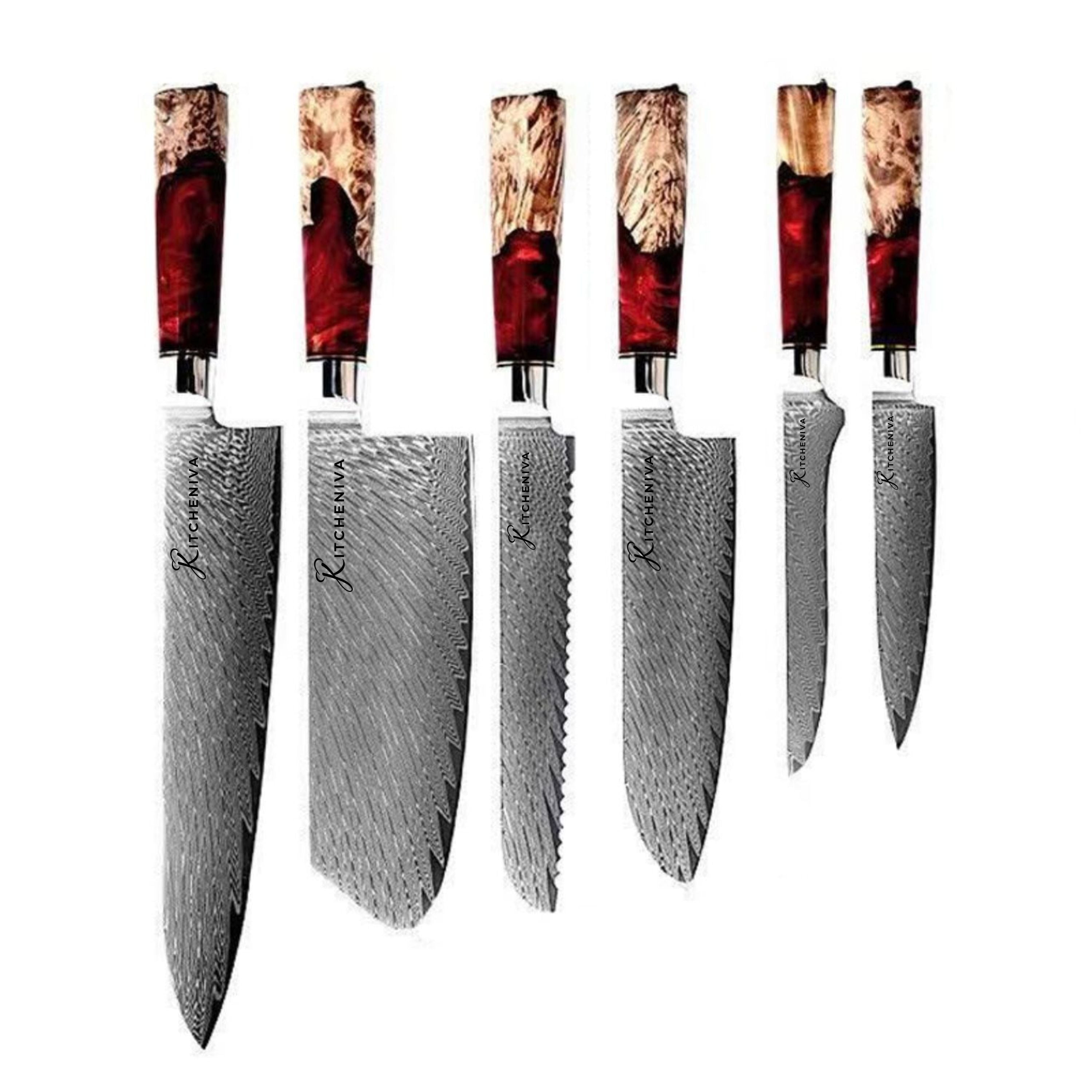 Kitcheniva 6-Piece VG10 Core 67 Layer Damascus Steel Japanese Style Knife Set with Wood Resin Handle