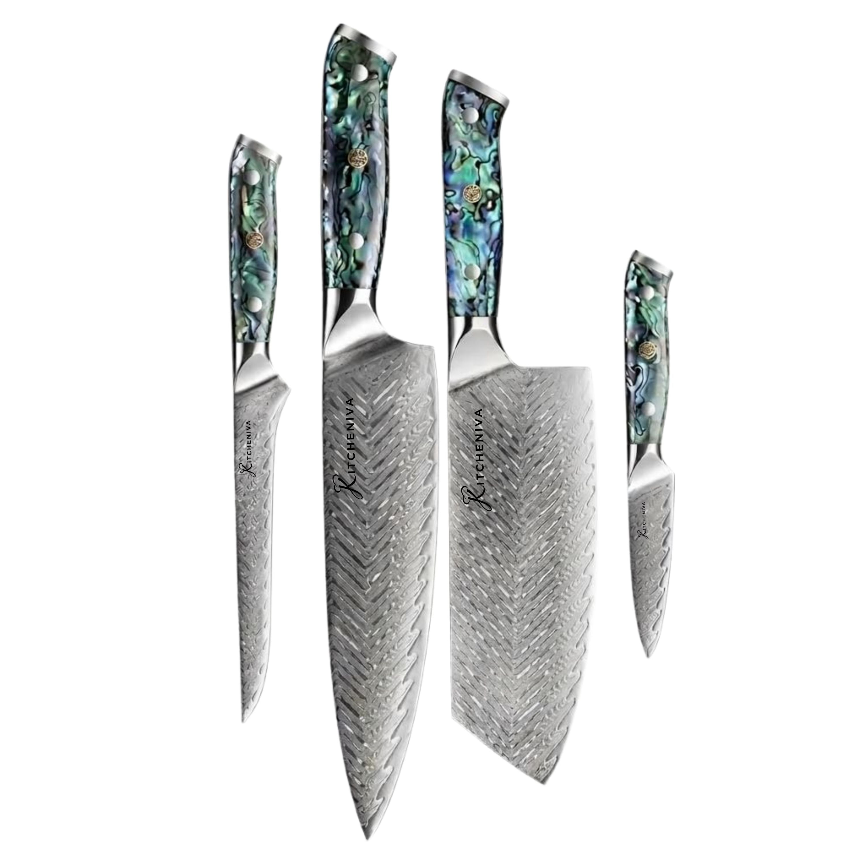 Kitcheniva 4-Piece VG10 Core 67 Layer Damascus Steel Knife Set with Abalone Shell Resin Handle