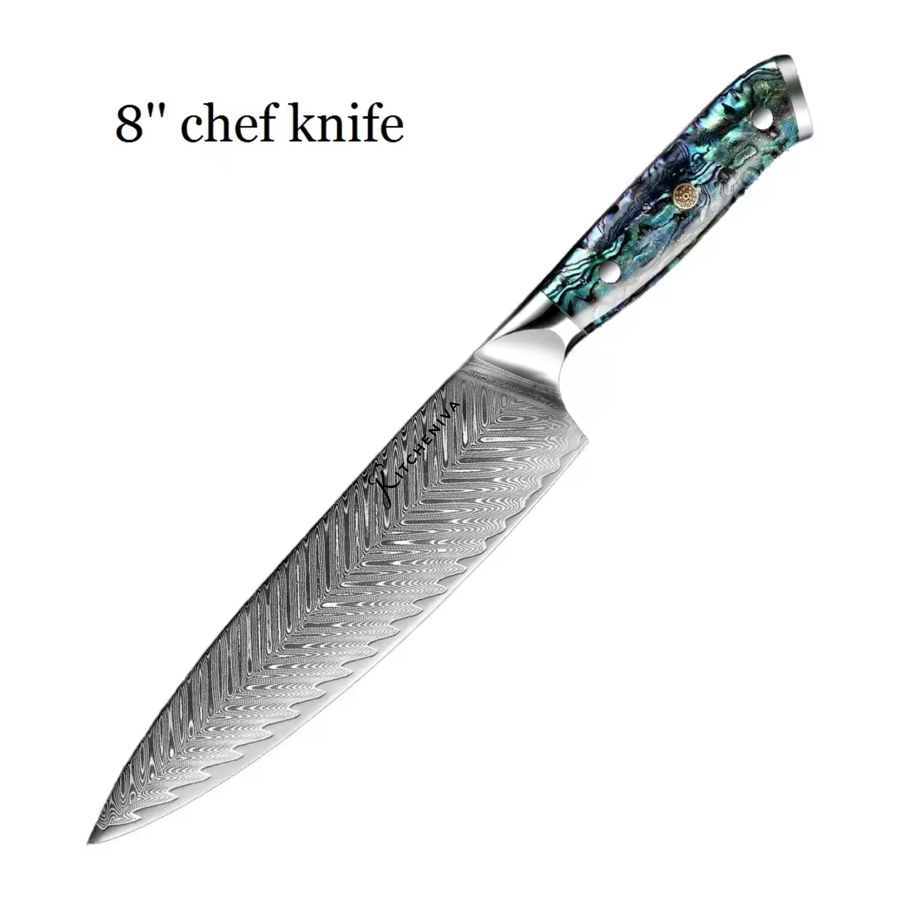 Kitcheniva 4-Piece VG10 Core 67 Layer Damascus Steel Knife Set with Abalone Shell Resin Handle