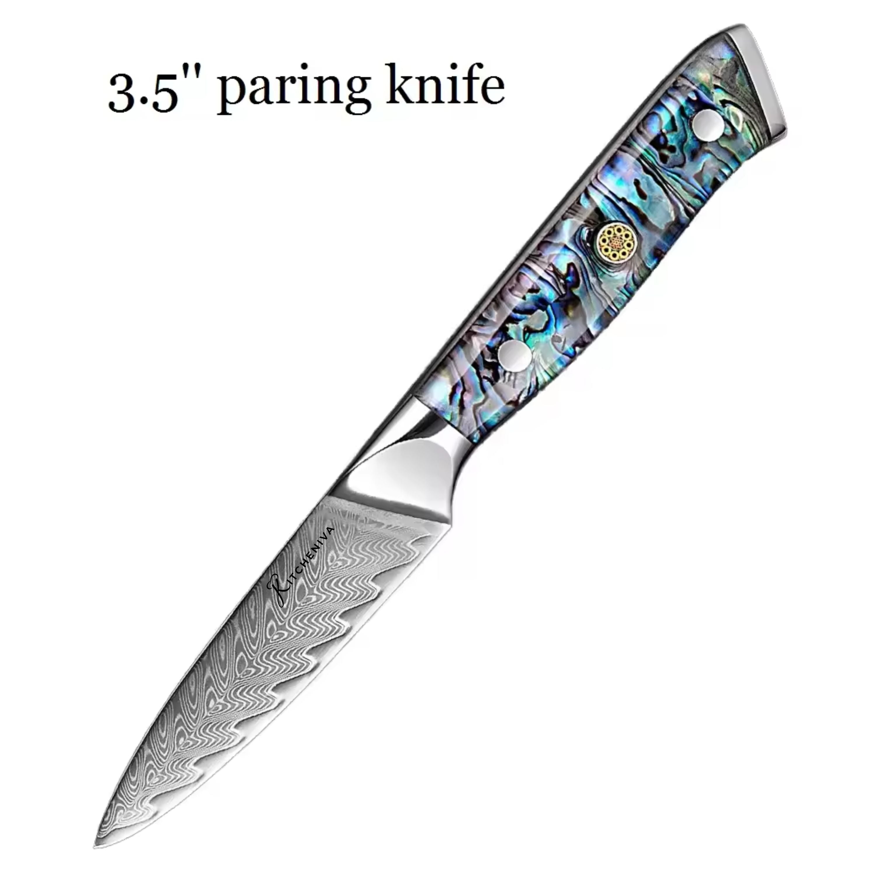 Kitcheniva 4-Piece VG10 Core 67 Layer Damascus Steel Knife Set with Abalone Shell Resin Handle