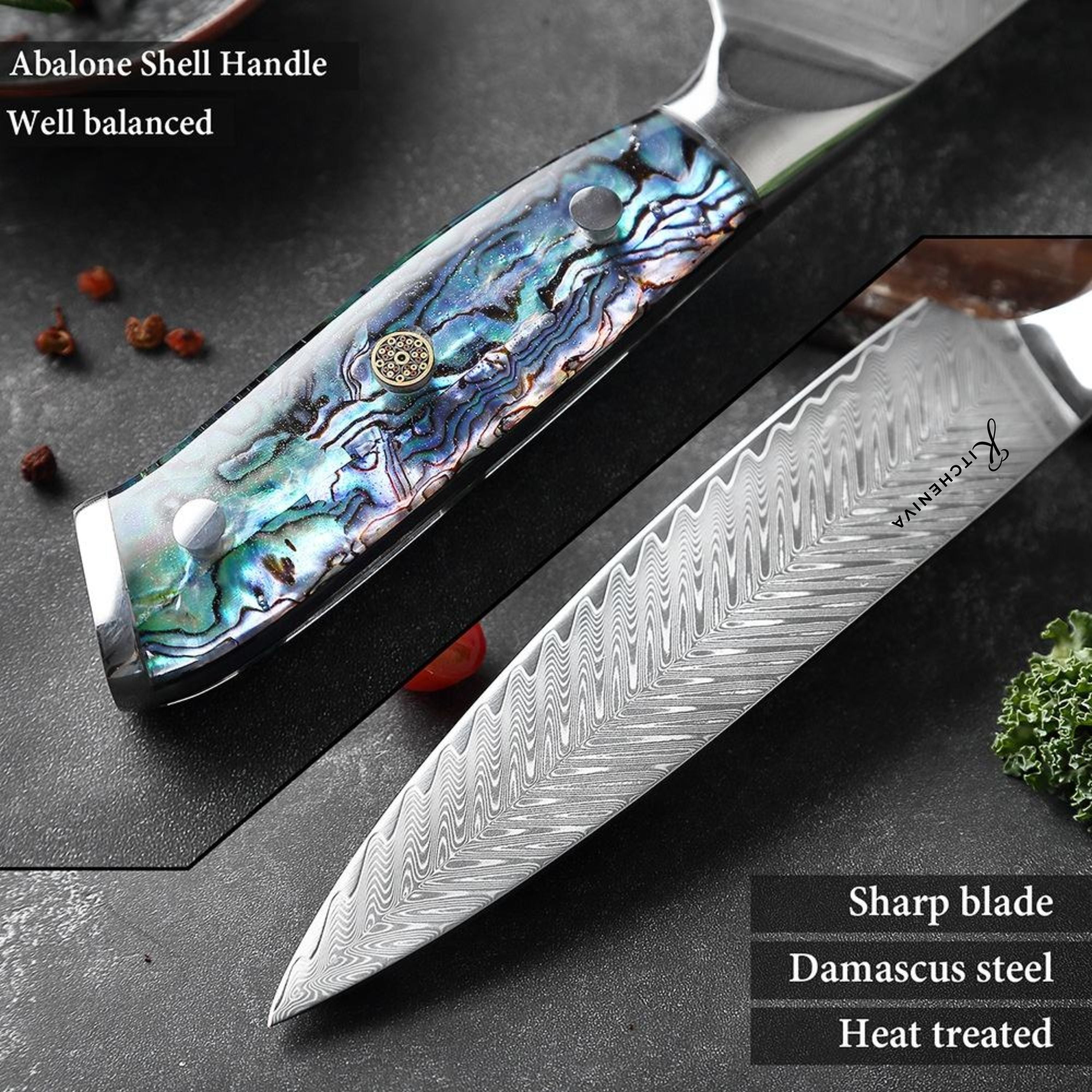 Kitcheniva 4-Piece VG10 Core 67 Layer Damascus Steel Knife Set with Abalone Shell Resin Handle