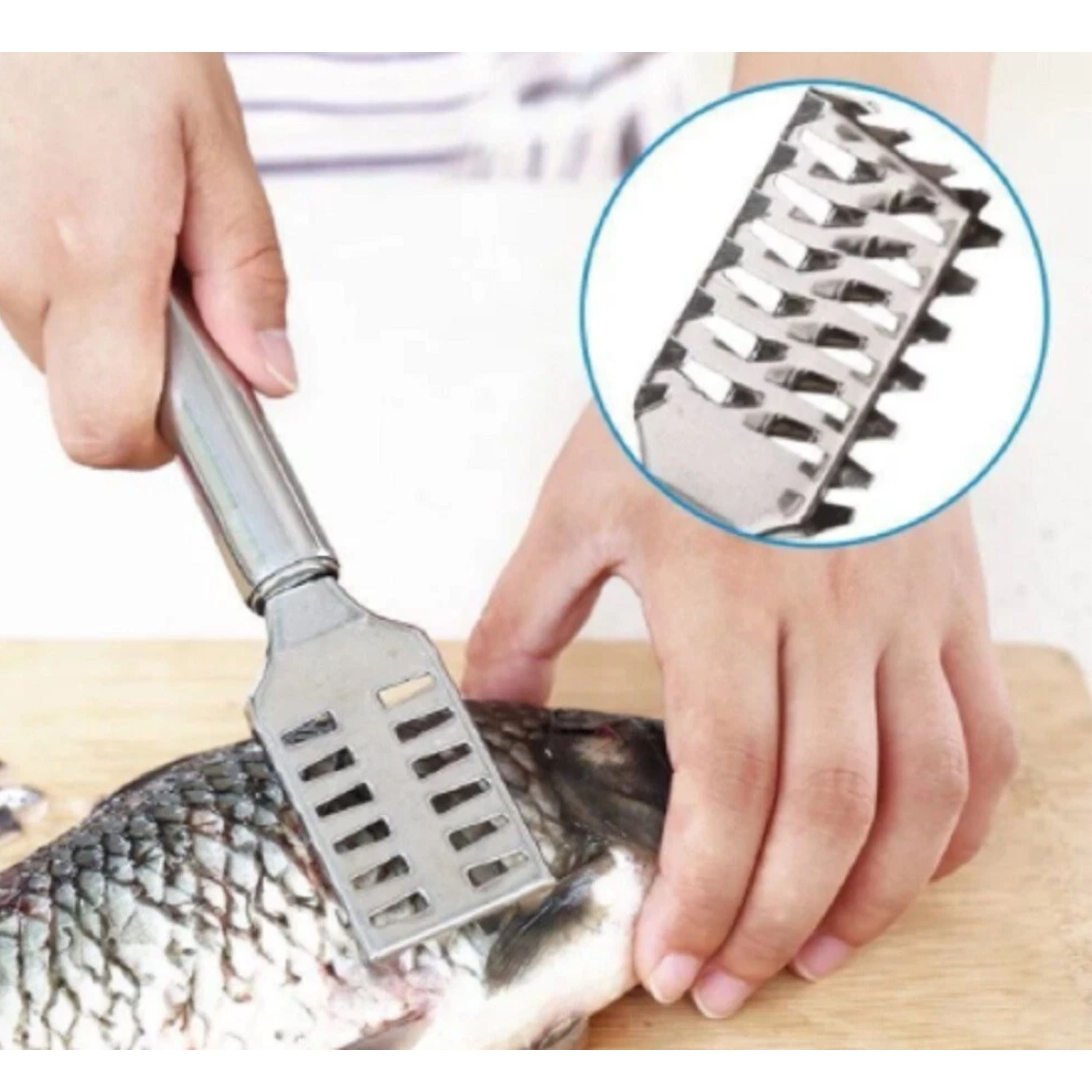 Kitcheniva Stainless Steel Fish Scaler Brush