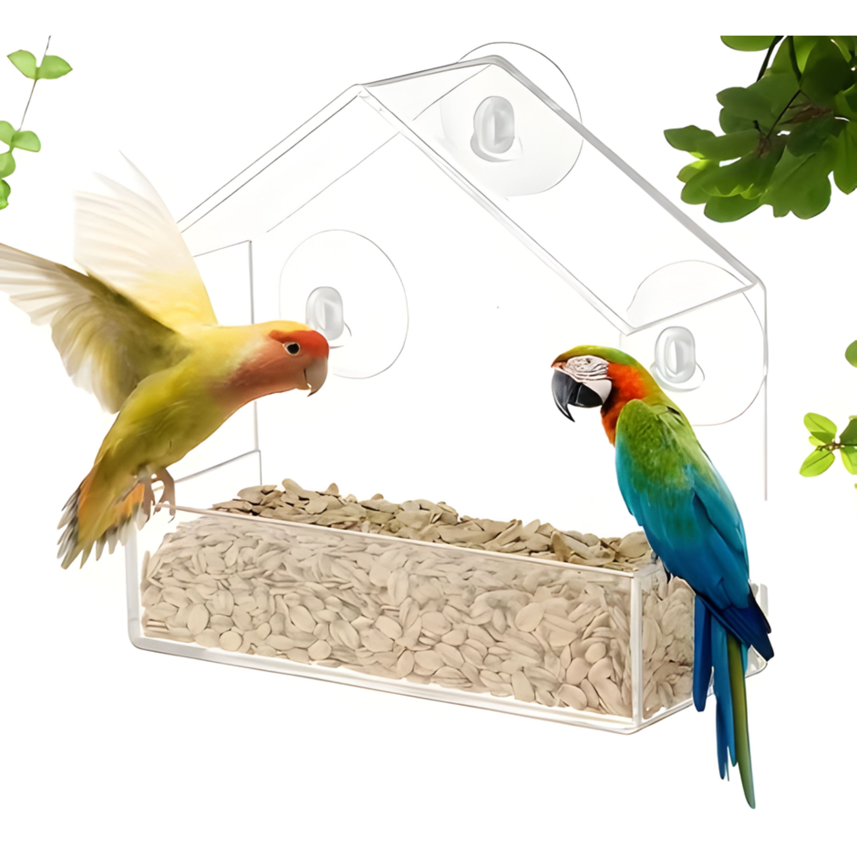 Kitcheniva Acrylic Clear Bird Feeder with Suction Cups