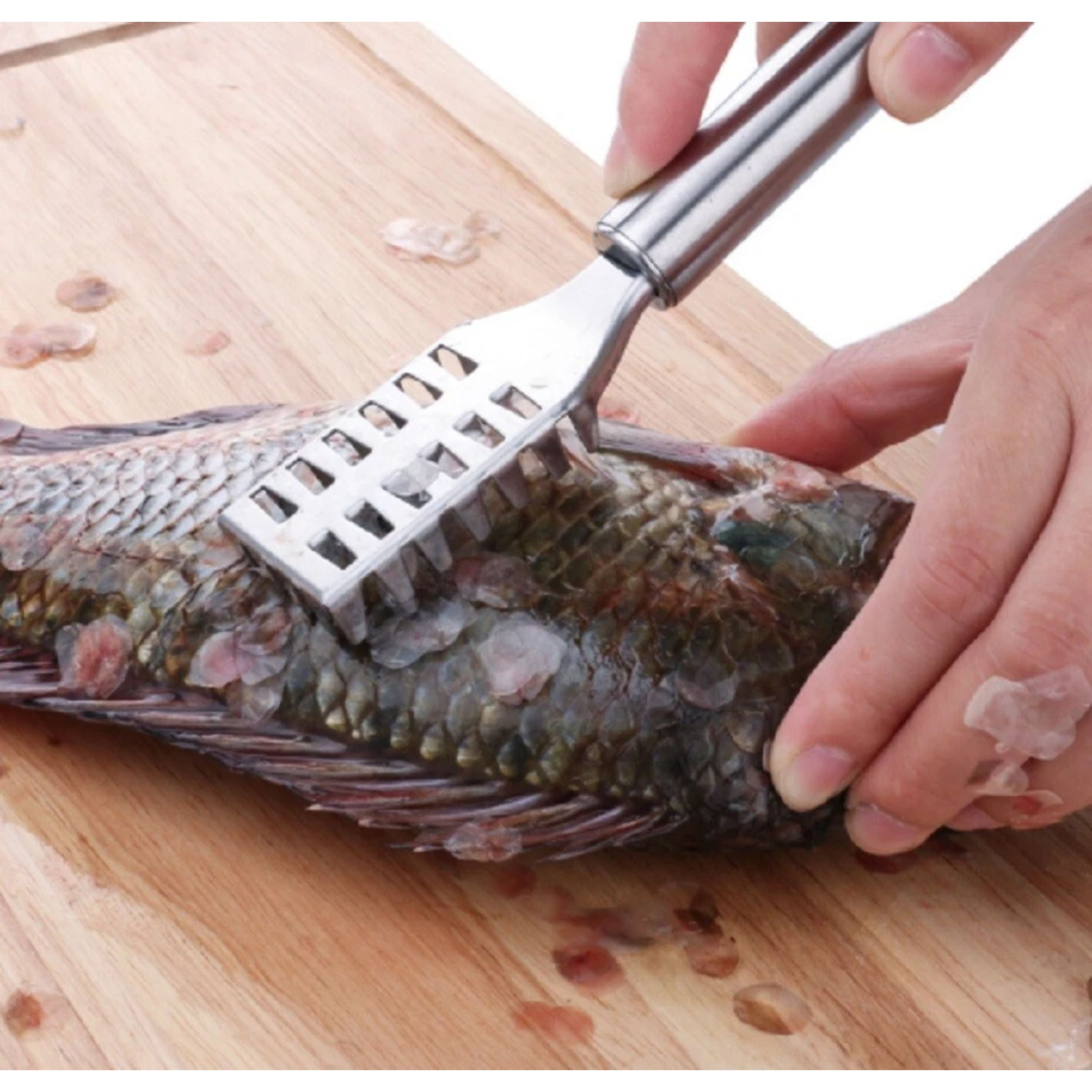 Kitcheniva Stainless Steel Fish Scaler Brush
