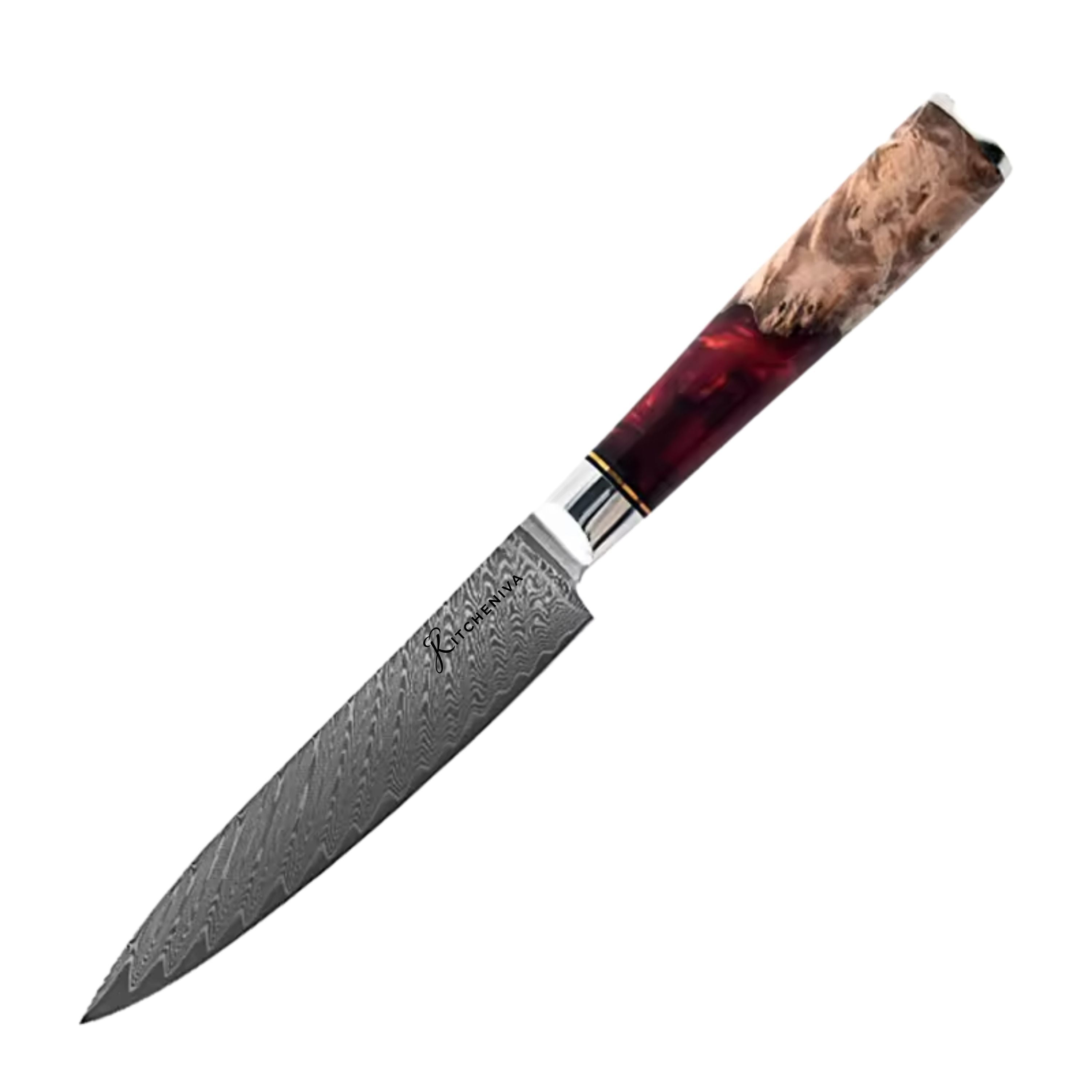 Kitcheniva 6-Piece VG10 Core 67 Layer Damascus Steel Japanese Style Knife Set with Wood Resin Handle