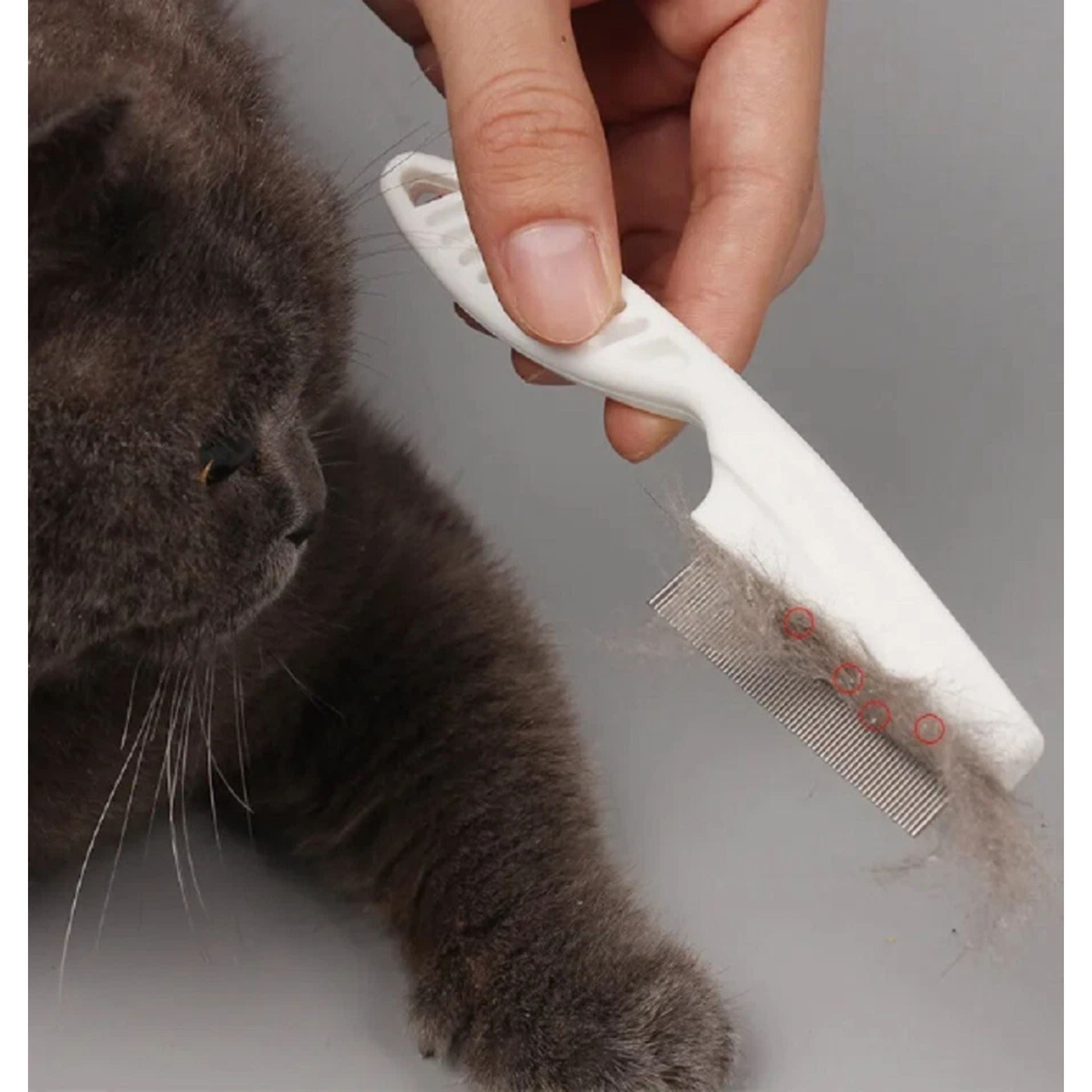 Kitcheniva Stainless Steel Deshedding Comb Tools 2 Pcs