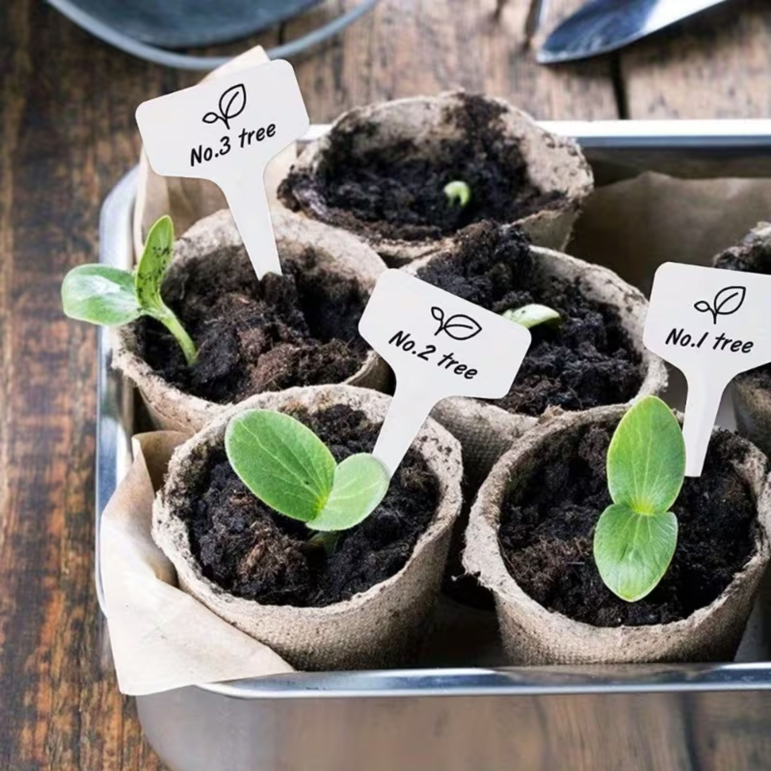 Kitcheniva Waterproof Garden Plant Labels 100 Pcs - Perfect for Labeling and Organizing Plants, Seeds, & Seedlings