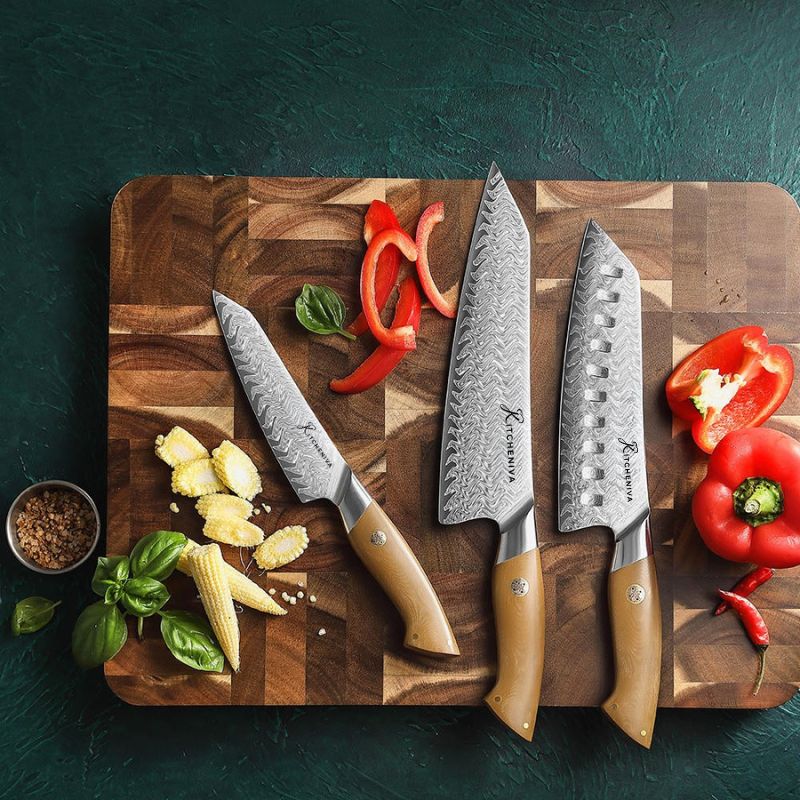 Kitcheniva 3-Piece 67 Layer Damascus Steel Kitchen Knife Set with Micarta Handle