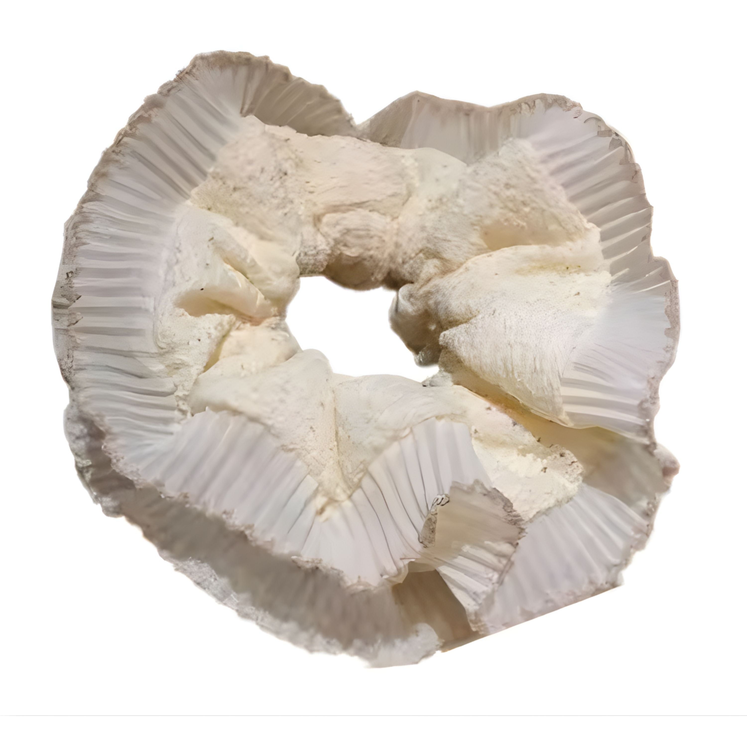 Kitcheniva Large Double-Layer Scrunchie 1 Pcs, Apricot Lace