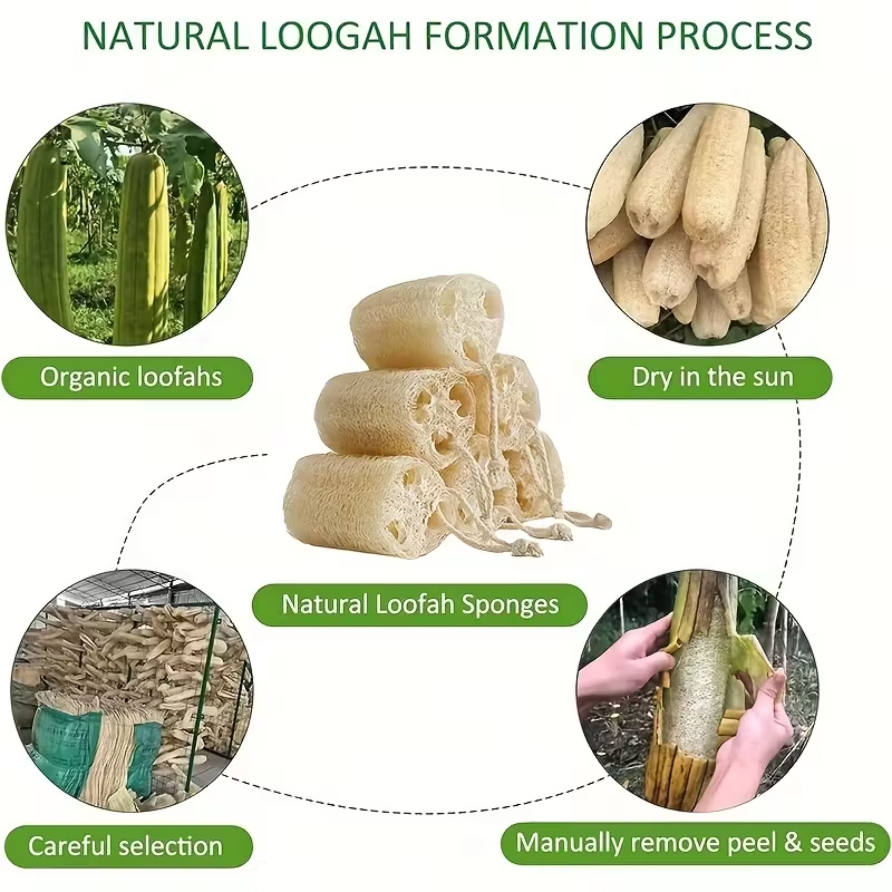 Kitcheniva 6 Pack Natural Exfoliating Loofah Sponge Body Scrubber