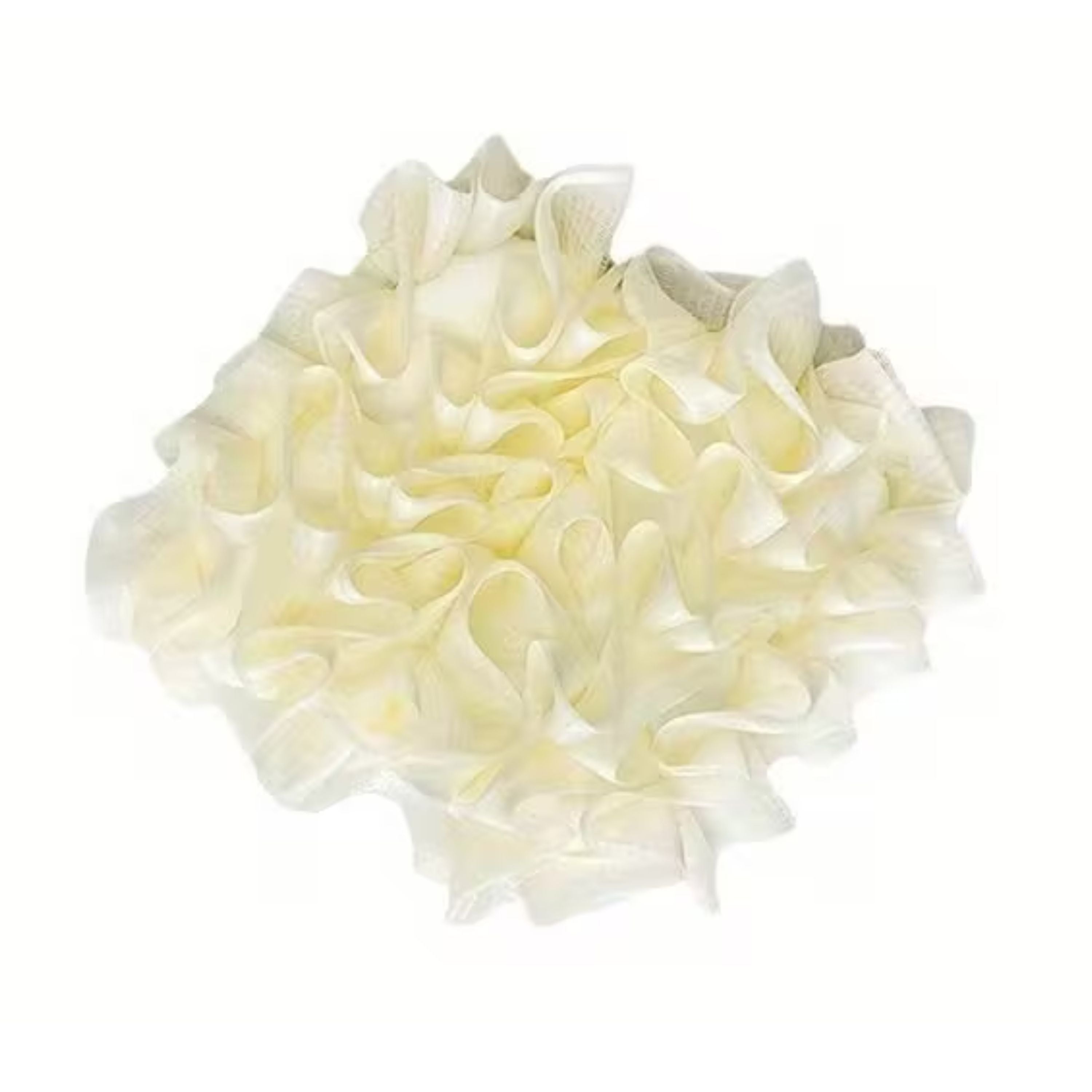 Kitcheniva 2-in-1 Soap Saver with Body Scrubber Loofah 1 Pcs