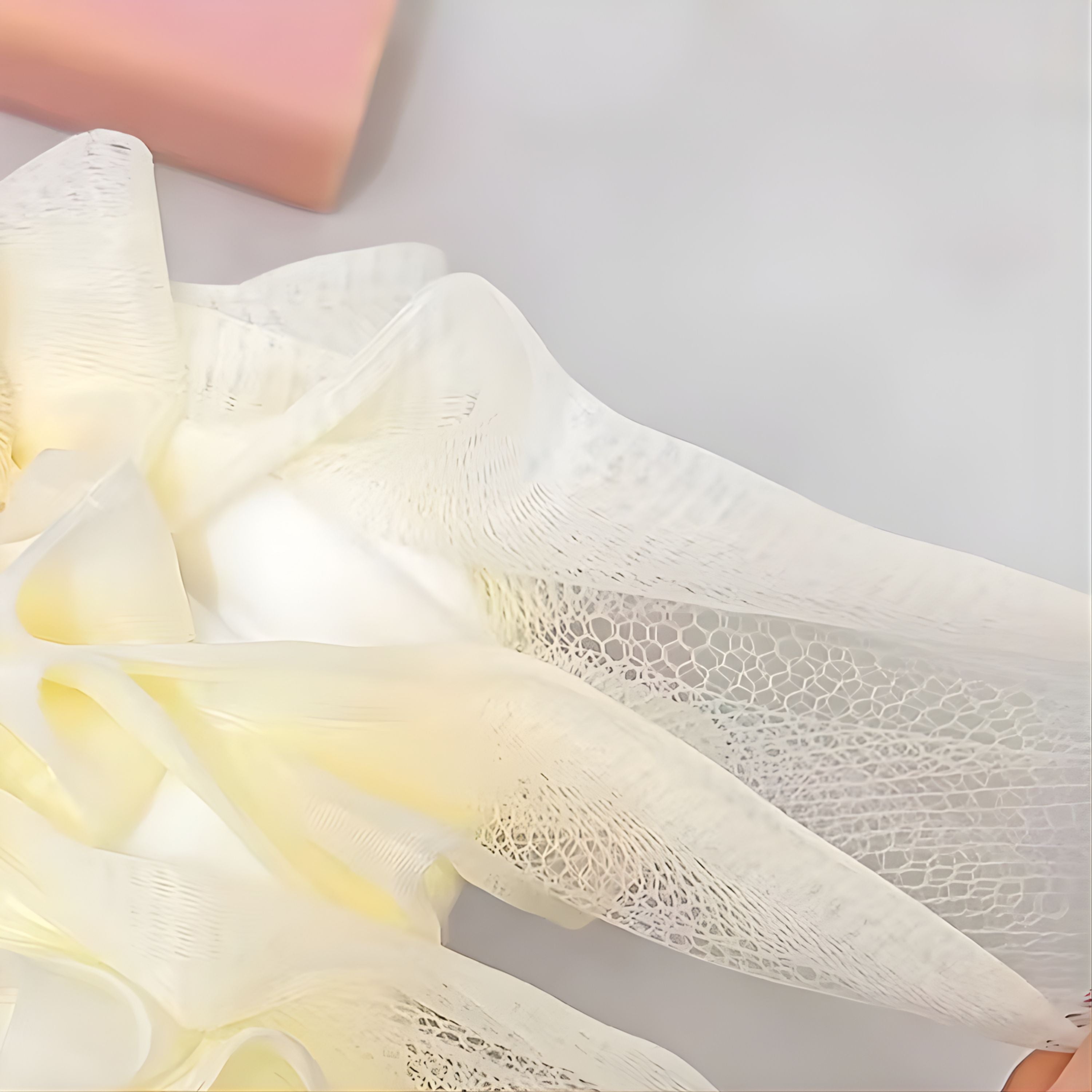 Kitcheniva 2-in-1 Soap Saver with Body Scrubber Loofah 1 Pcs