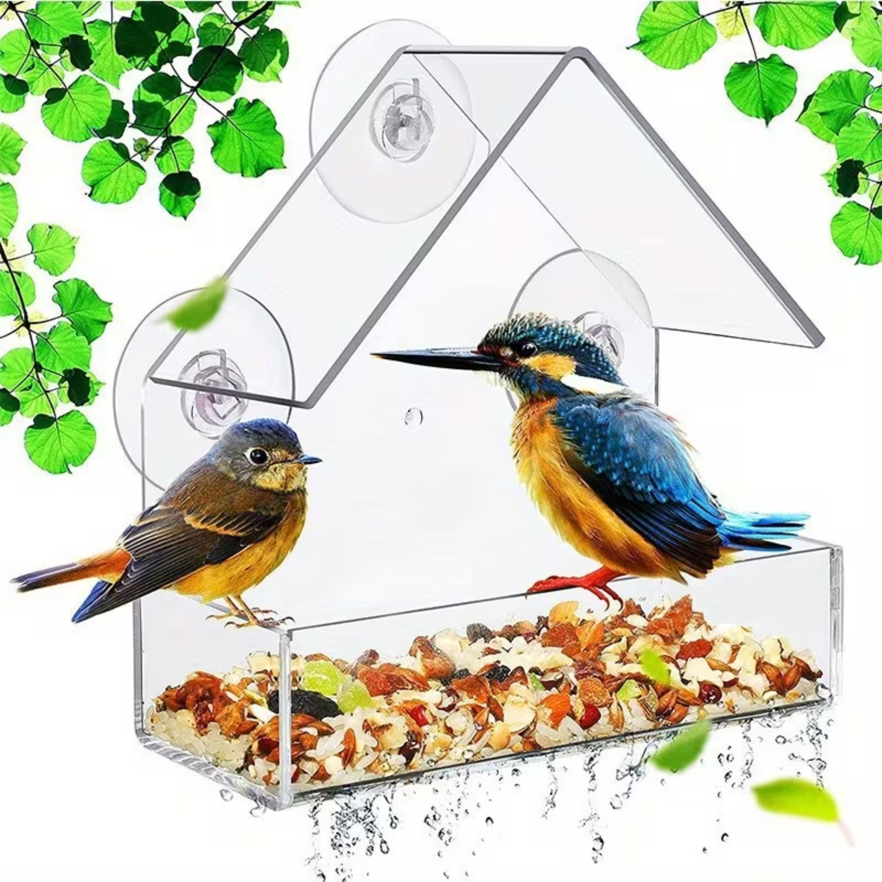 Kitcheniva Acrylic Clear Bird Feeder with Suction Cups